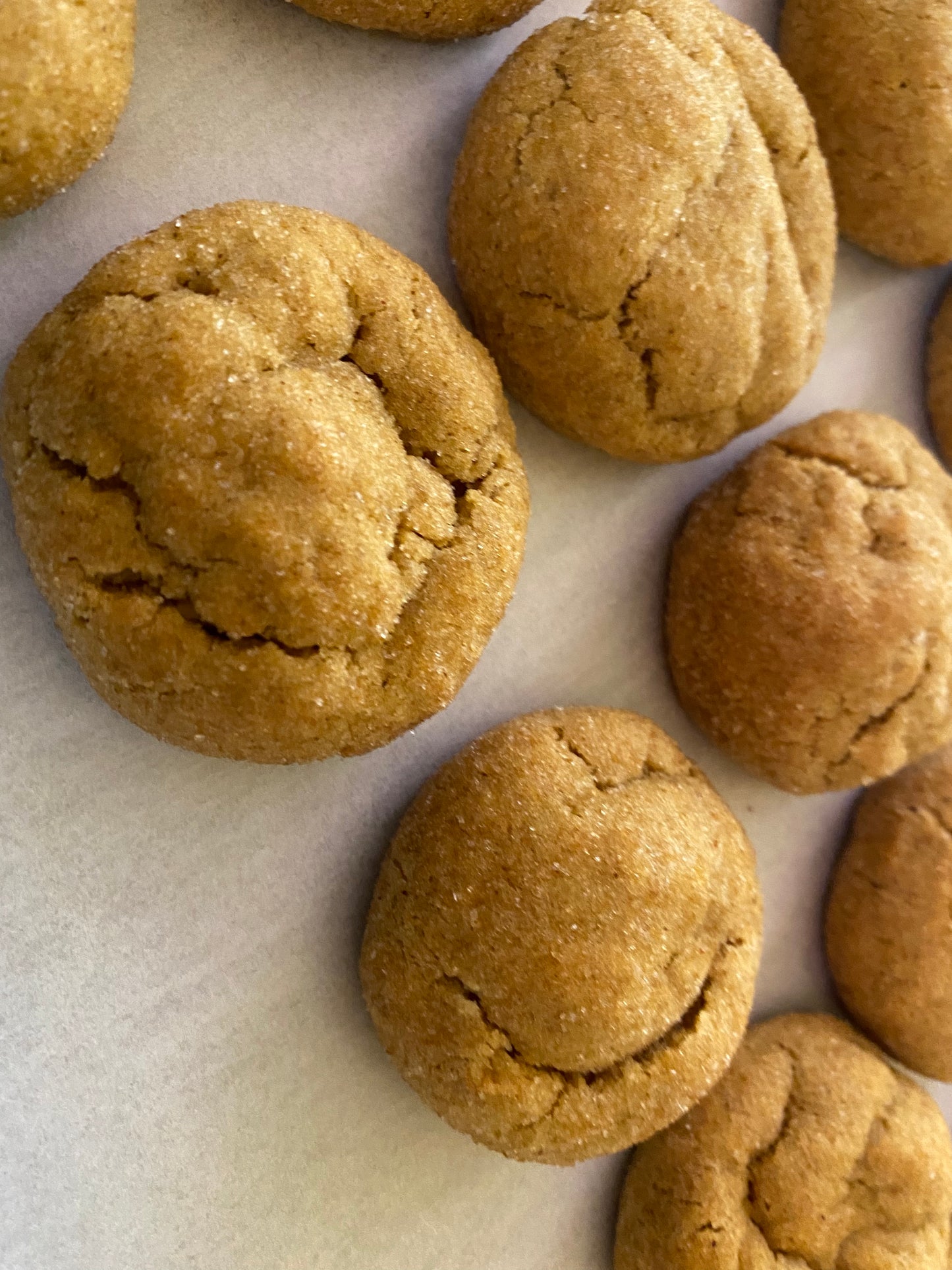 Pumpkin snickerdoodle